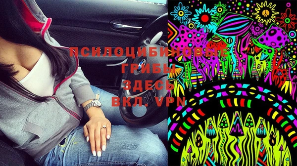 соль ск Алексеевка