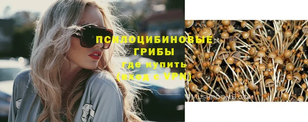 соль ск Алексеевка