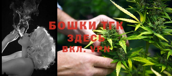 мяу мяу мука Алзамай