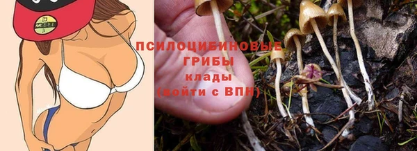 соль ск Алексеевка
