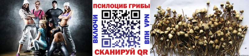 Галлюциногенные грибы GOLDEN TEACHER  мега зеркало  Всеволожск 